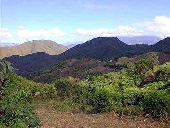 El Limon en los campos y montes de Ocoa